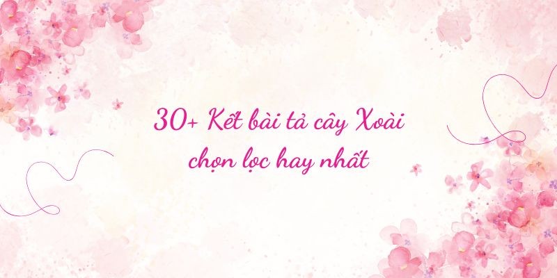 30+ Kết bài tả cây Xoài chọn lọc hay nhất